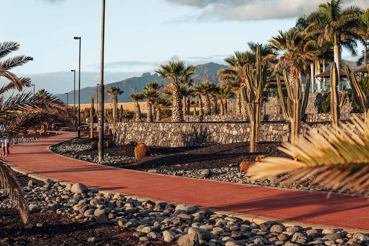 Promenade in Alcala with palm trees and cactus garden