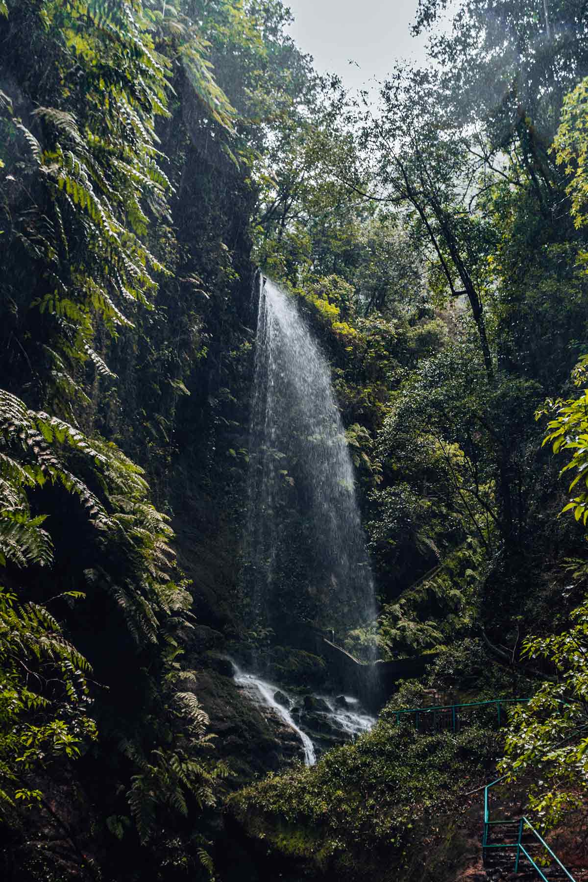 Los Tilos waterfall in La Palma