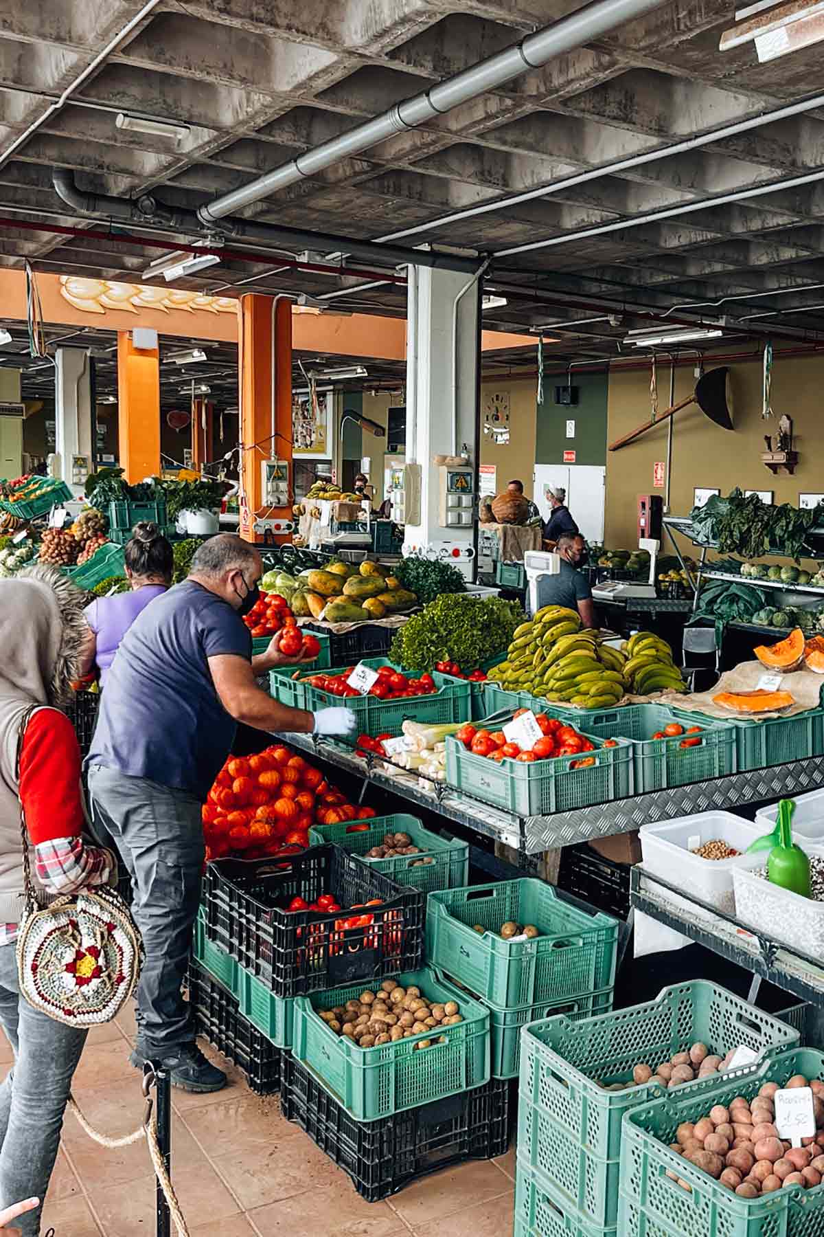 People buying fresh vegetables