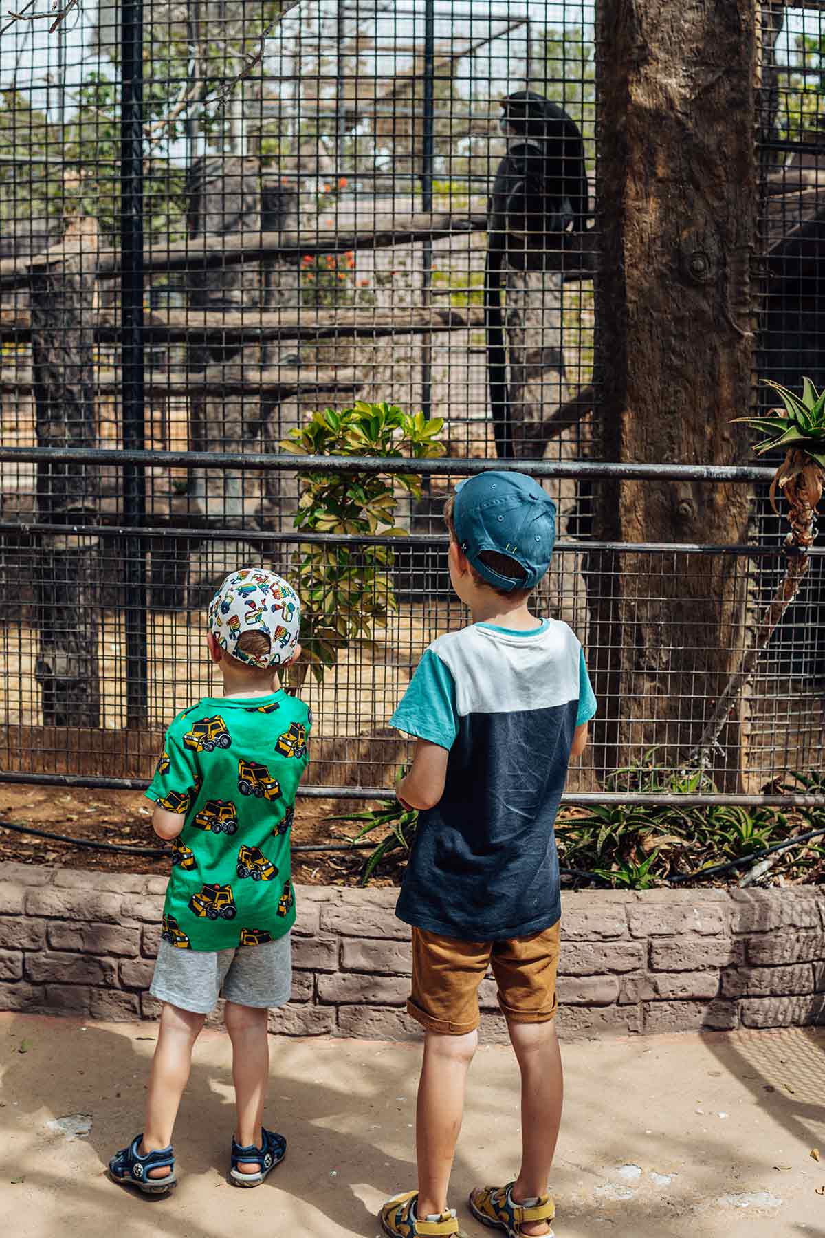 Kids in Monkey Park, Tenerife