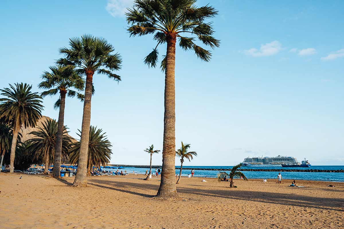 Palm trees in Teresitas beach