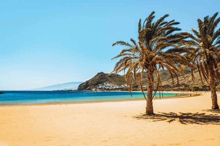 Palm trees on Teresitas beach, Canary Islands